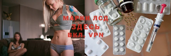 spice Алзамай