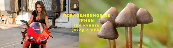 spice Алзамай