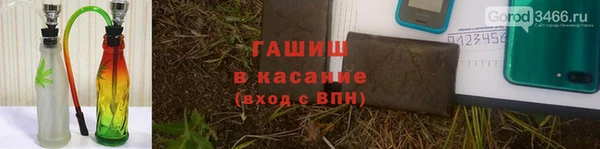 spice Алзамай