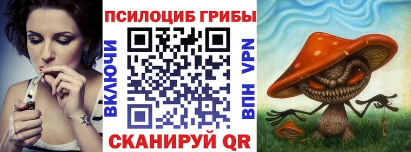 Галлюциногенные грибы мицелий  Королёв 